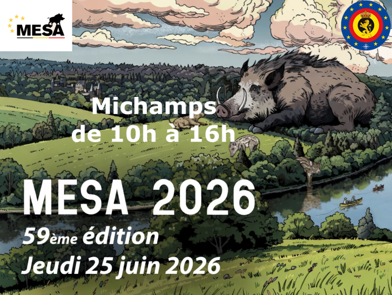 Marche du souvenir (MESA)
